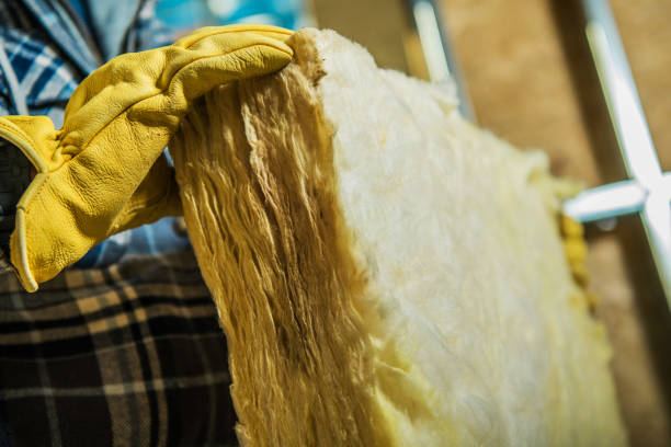 Best Types of Insulation in Apopka, FL